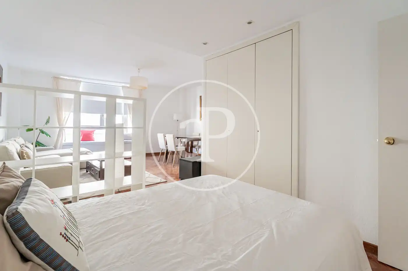 Lofts for rent in C. de Recoletos, Recoletos