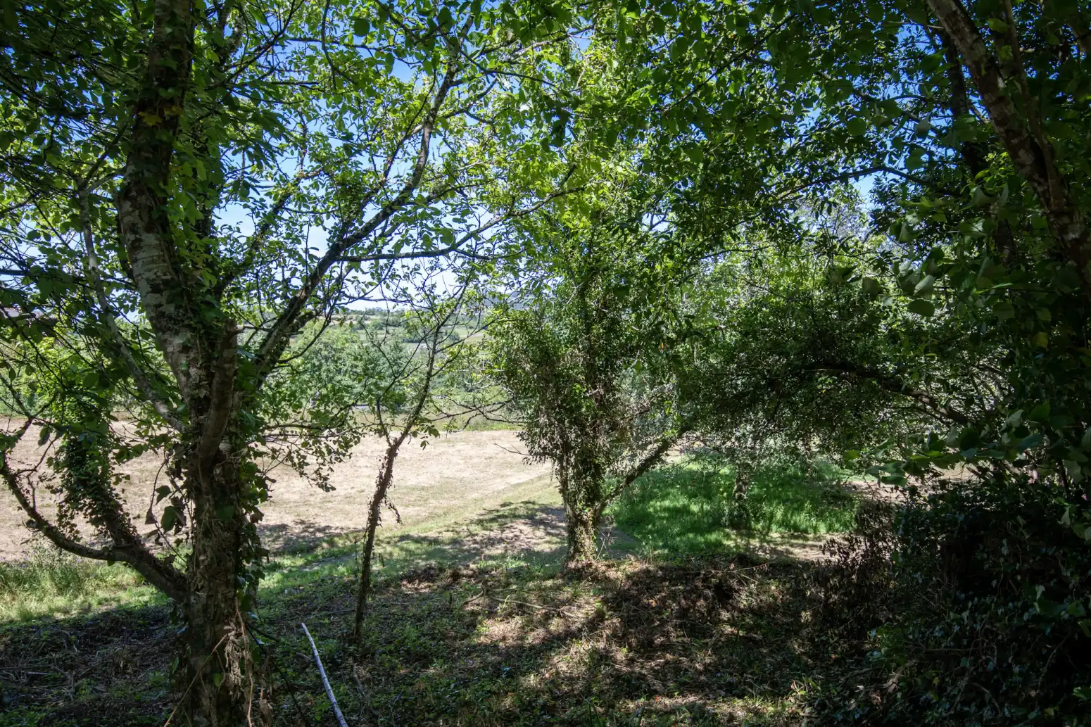 Terreno en venta en Villaviciosa