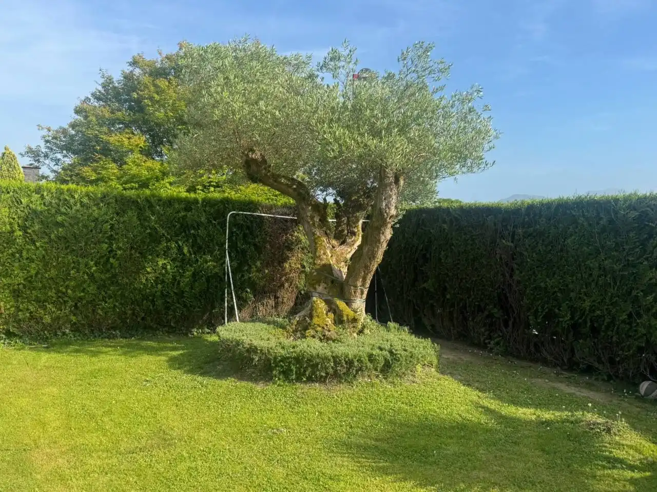 Jardí de Casa o xalet en venda en Donostia - San Sebastián  amb Aire condicionat, Calefacció i Jardí privat