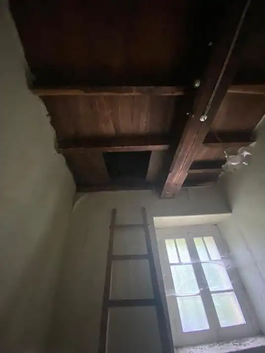 Finca rústica en venta en Salas