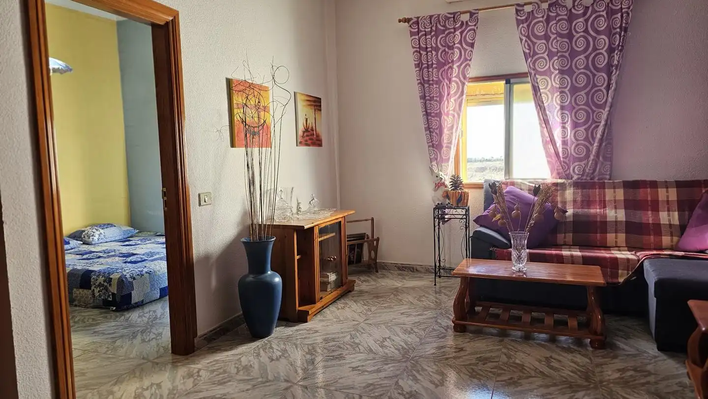 Sala d'estar de Casa o xalet en venda en Santa Lucía de Tirajana amb Jardí privat, Terrassa i Piscina