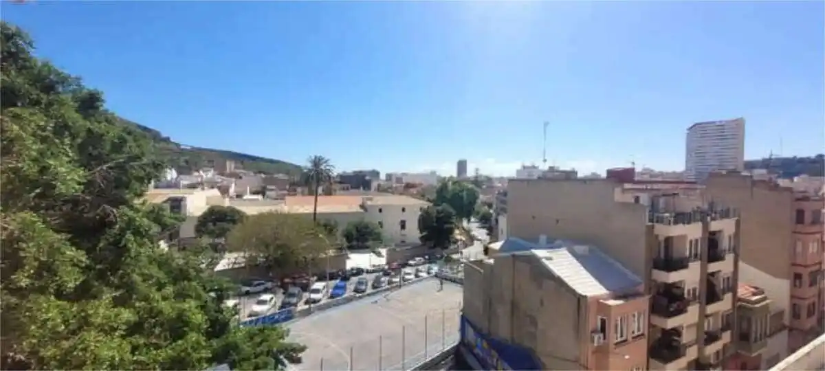 Apartamento en venta en Pla - Carolinas, imagen 2