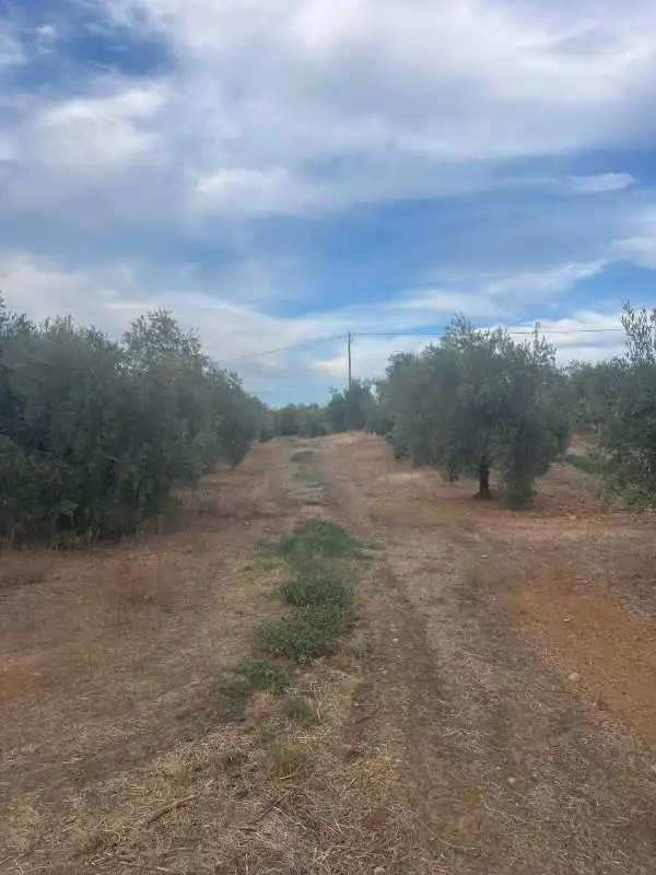 Rustikales Grundstück zum Verkauf in Pozoblanco, imagen 7