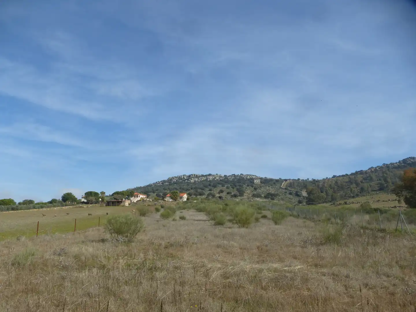 Land for sale in La Haba 