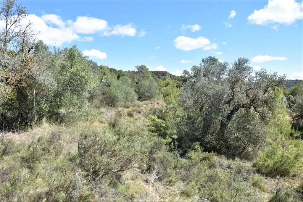 Terreni e lotti in vendita a Arens de Lledó, imagen 7