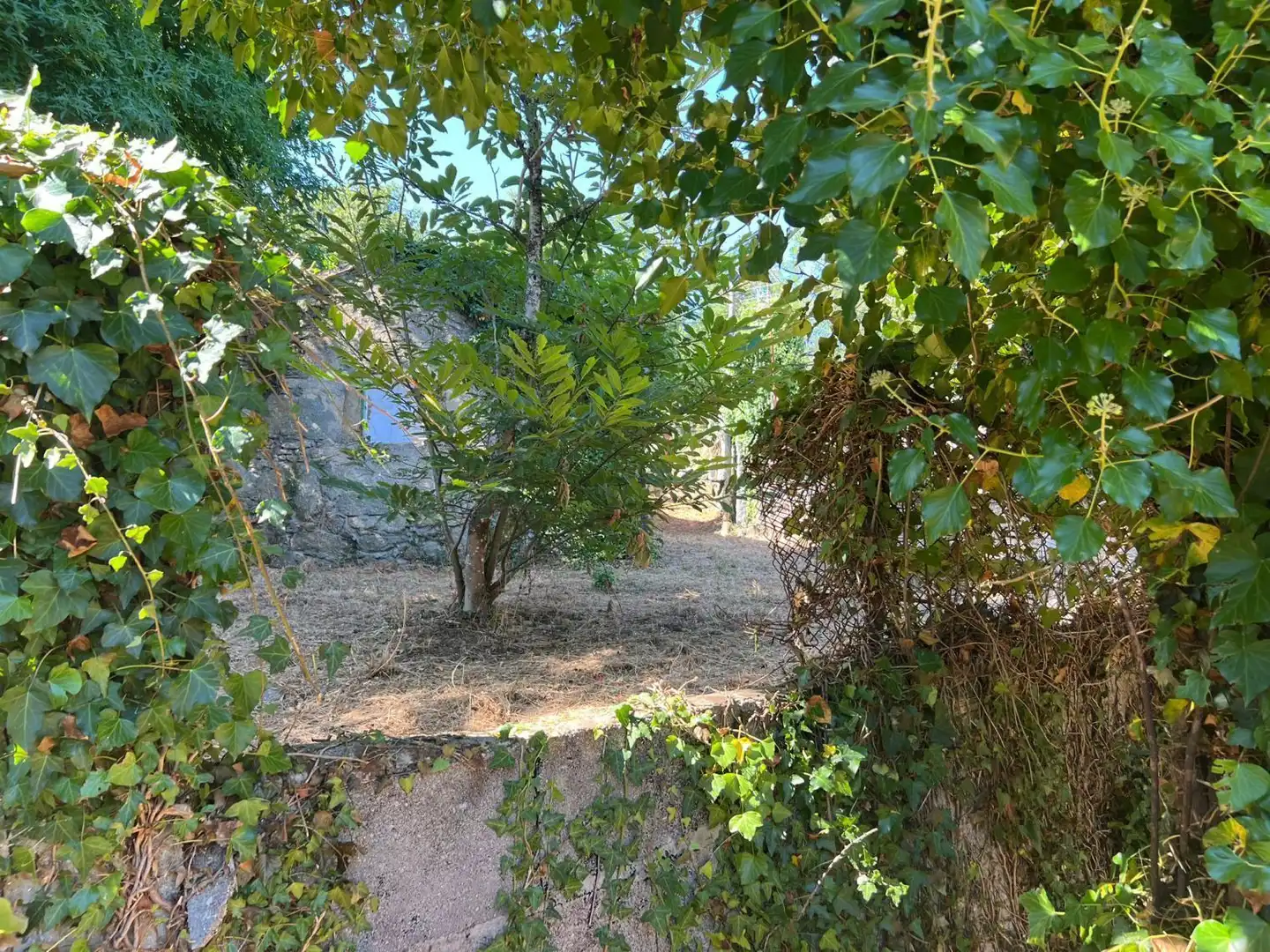 Maison à vendre à Lugar Barreras, imagen 11