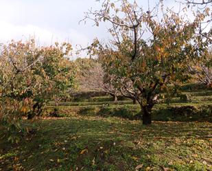 Land for sale in Pasarón de la Vera