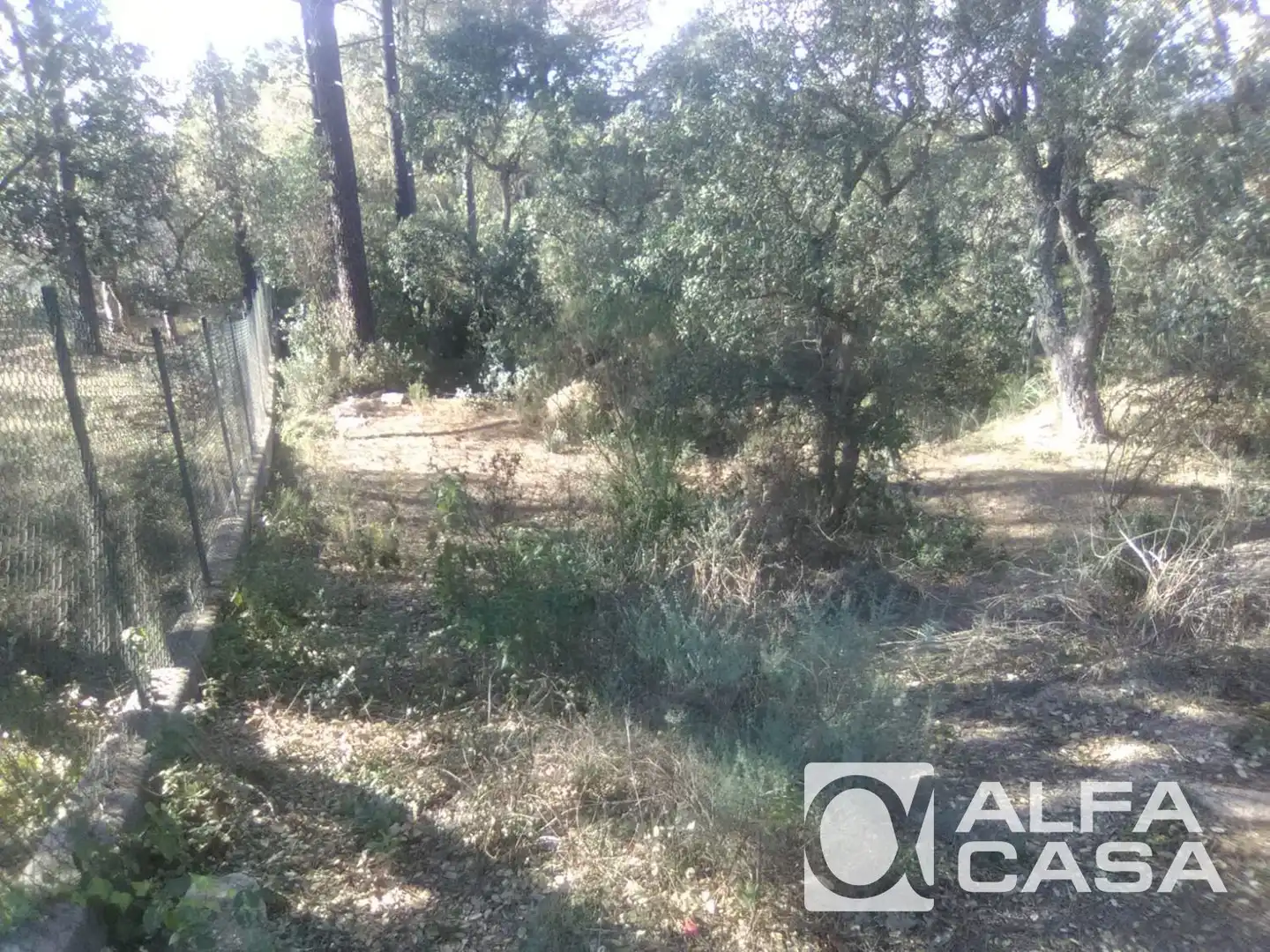 Wohnbaugrundstück zum Verkauf in Puigventos, imagen 2