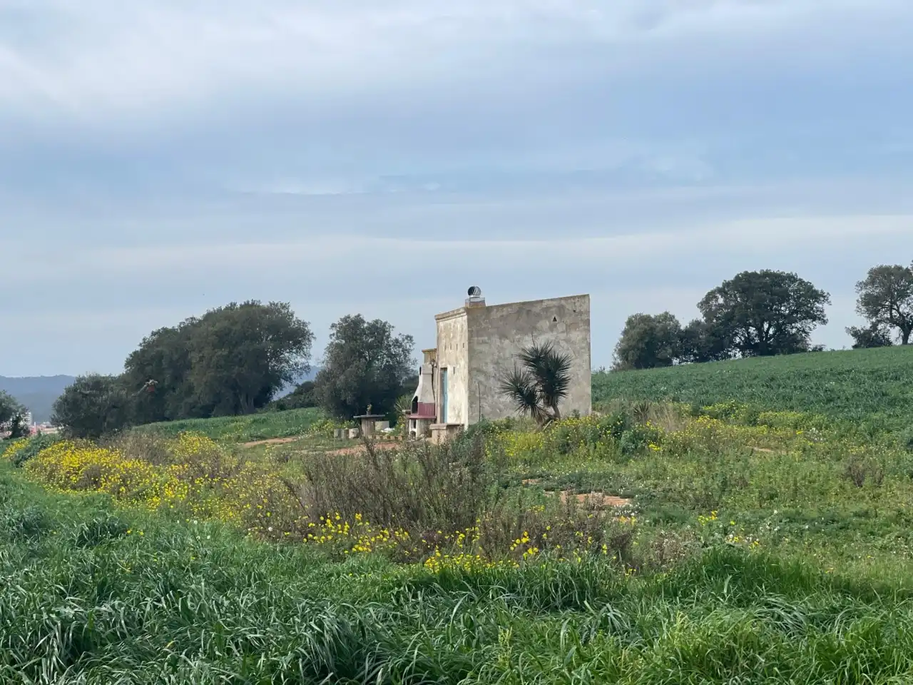 Terreny rústic en venda a Camí de la Portalada, imagen 2