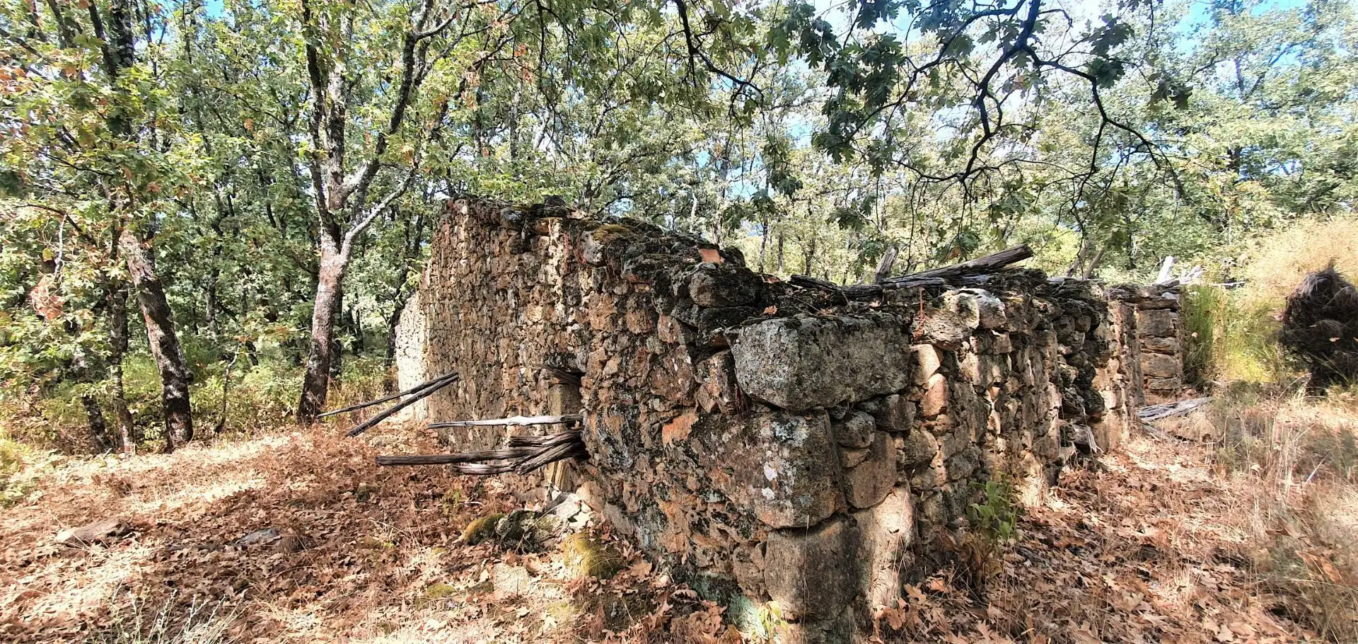 Terreni e lotti in vendita a Jarandilla de la Vera, imagen 15