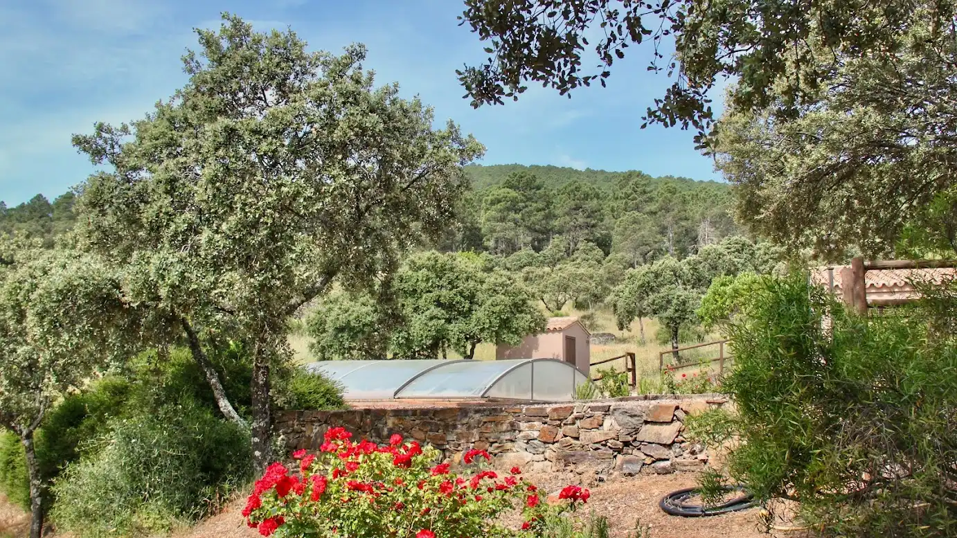 Jardín de Casa o chalet en venta en Los Navalucillos con Aire acondicionado, Calefacción y Jardín privado