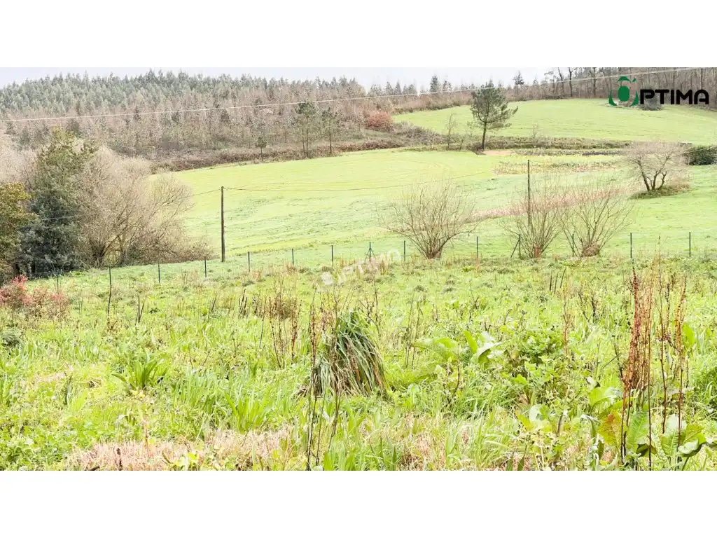 Terreni e lotti in vendita a Lugar Lañas 12, imagen 10
