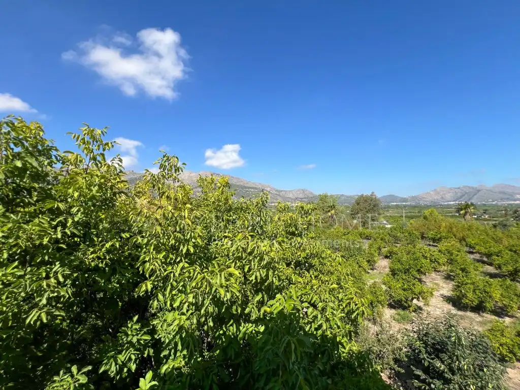 Xalet amb terrassa en venda a Partida Marjal, imagen 77