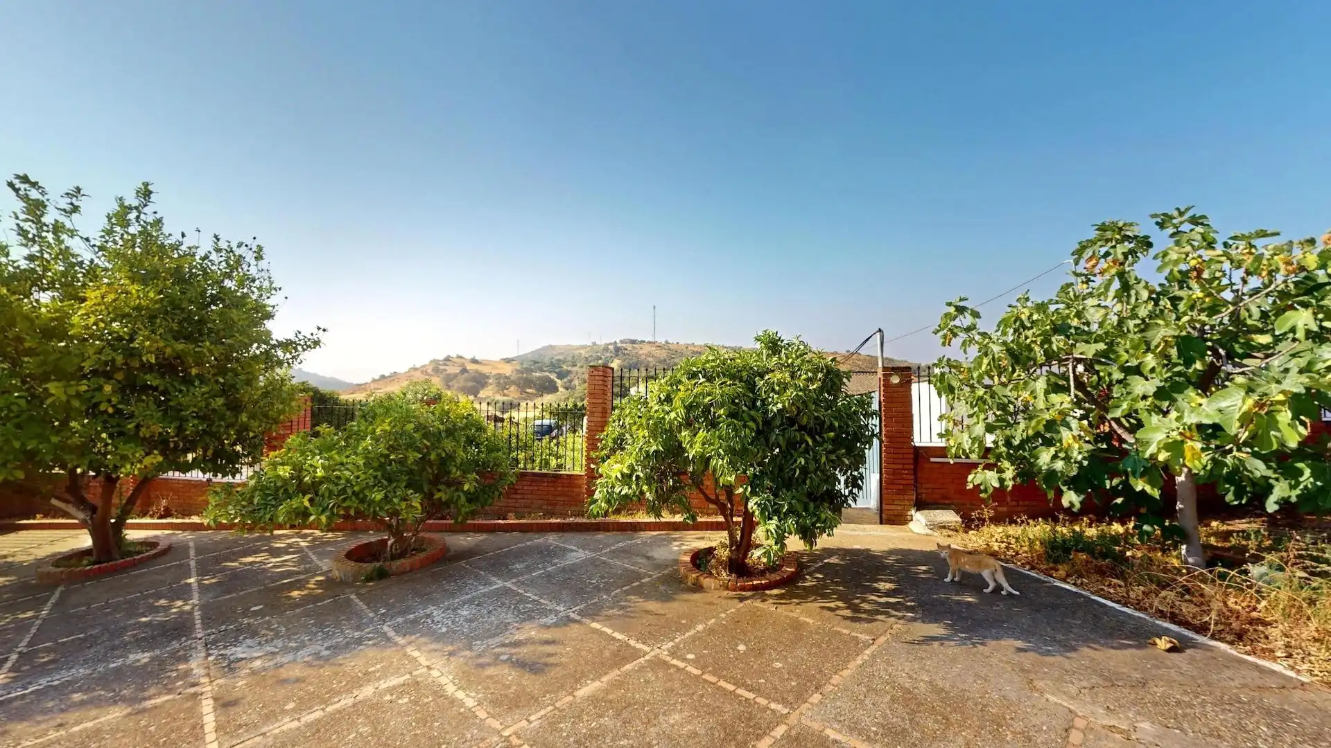 Casa rústica amb piscina en venda a Carretera GRANADA BADAJOZ 8,9, imagen 38