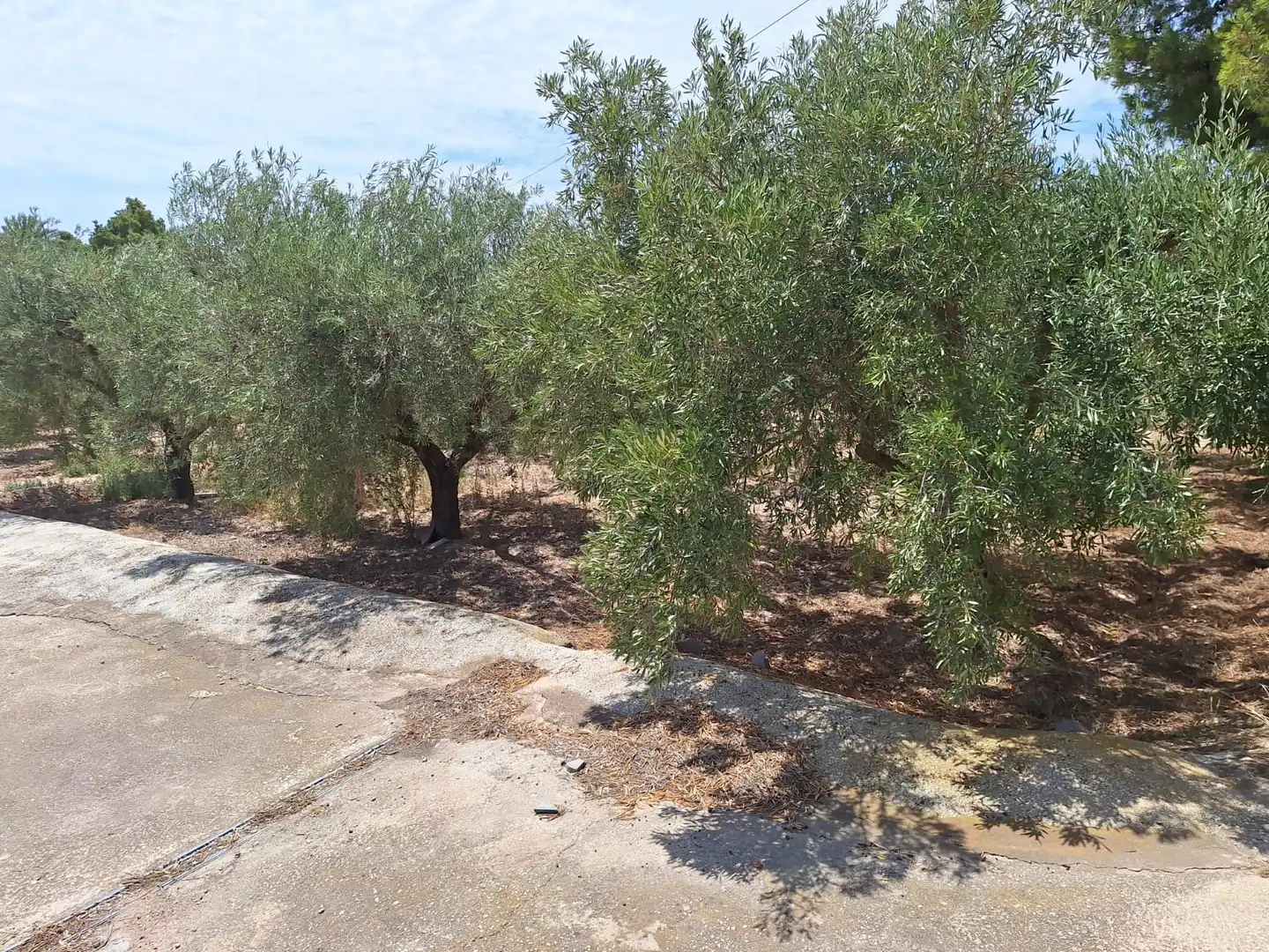 Casa o xalet en venda en Alicante / Alacant amb Jardí privat, Terrassa i Traster