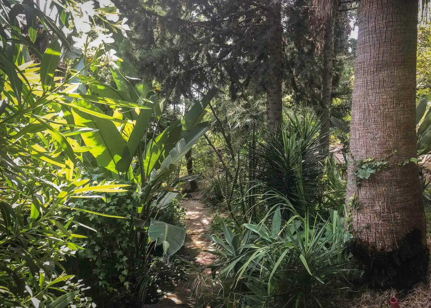 Jardín de Casa o chalet en venta en Benahavís con Aire acondicionado, Jardín privado y Terraza