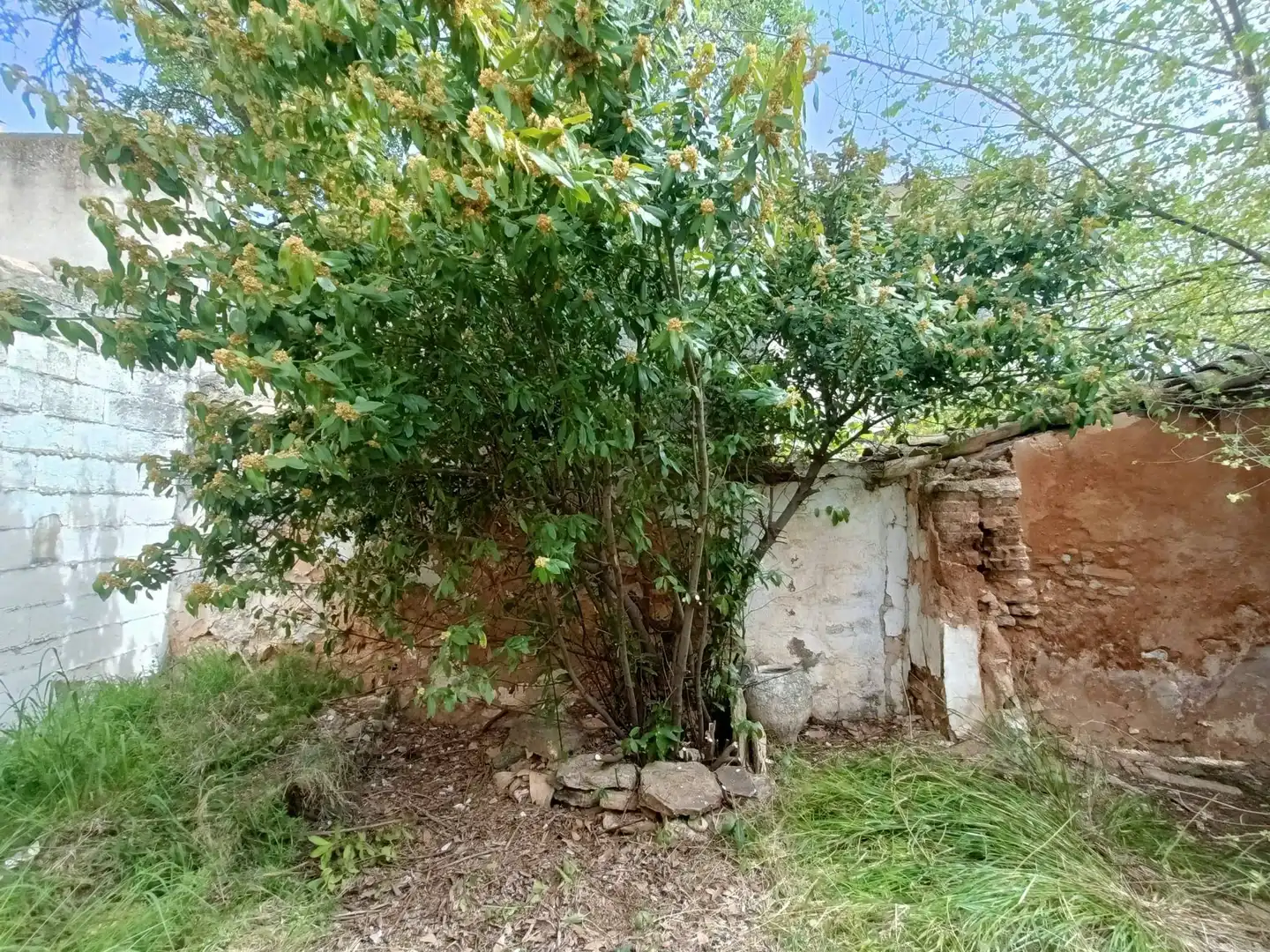 Casa rústica con terraza en venta en San Clemente, imagen 2