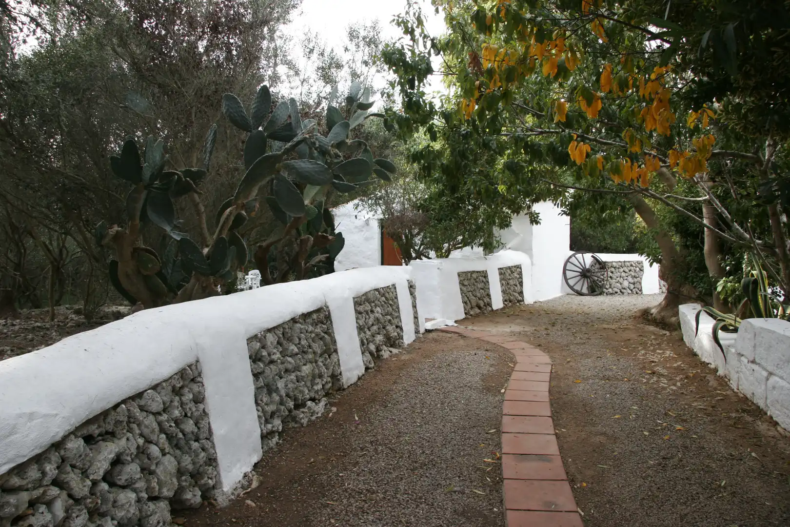 Finca rústica en venta en Sant Climent - Es Canutells