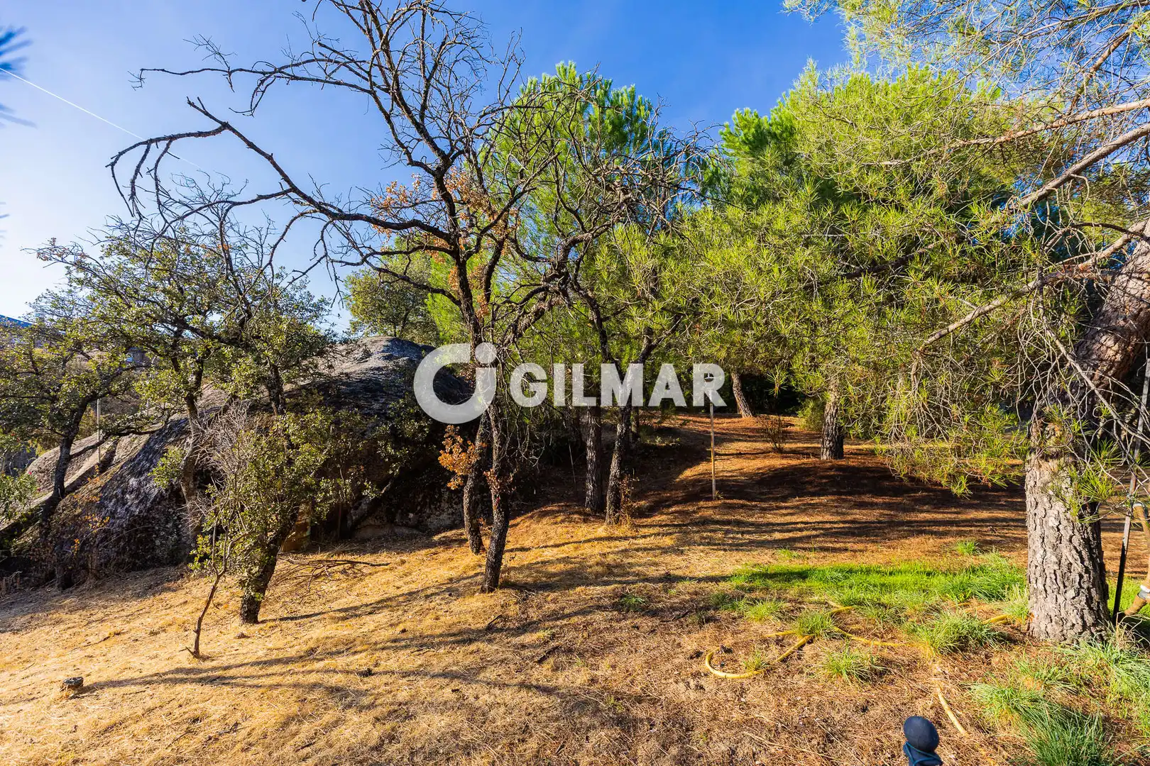 Residencial en venda en Madrid