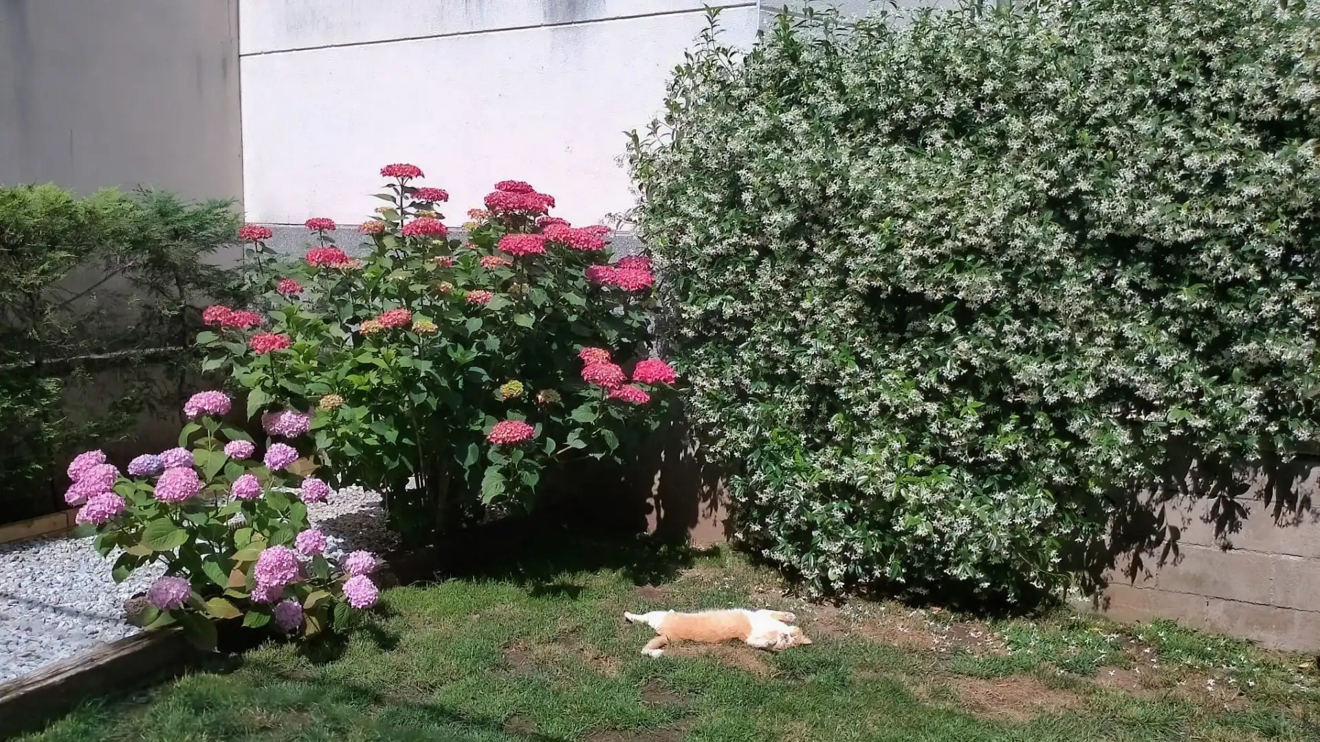Jardí de Casa adosada en venda en Olot amb Calefacció, Terrassa i Traster