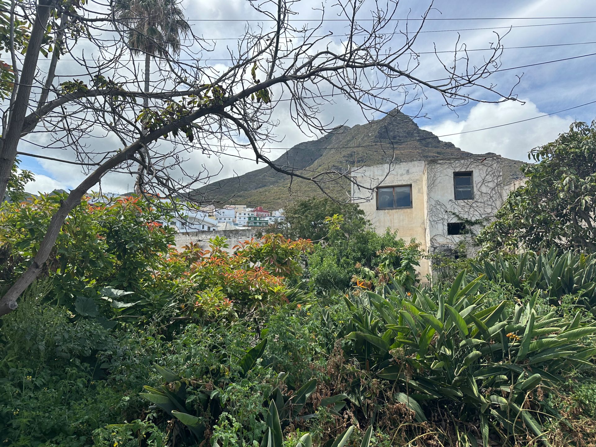 Vista exterior de Casa o xalet en venda en San Cristóbal de la Laguna amb Jardí privat, Terrassa i Traster