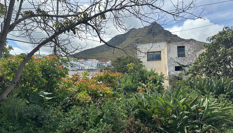 Foto 1 de Casa o xalet en venda a Carretera General Punta del Hidalgo, Punta del Hidalgo, Santa Cruz de Tenerife