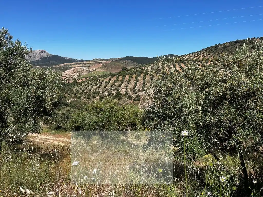 Finca rústica en venta en Partidas Norte