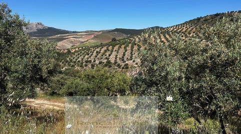 Photo 3 of House or chalet for sale in Serrato, Málaga