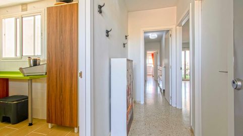 Foto 5 de Pis en venda a Avenida de la Tolerancia, Almensilla, Sevilla