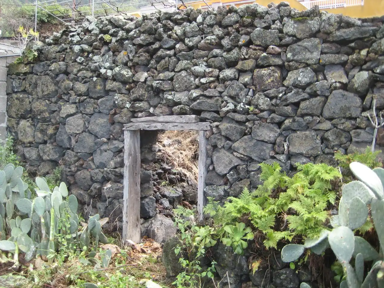 Terrenys i solars en venda a La Cruz, imagen 2