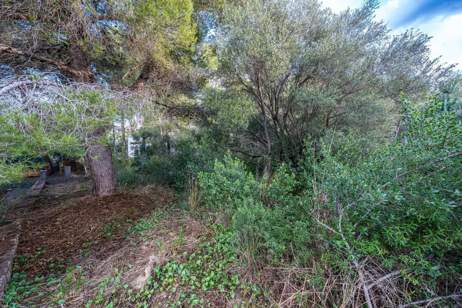 Terreny rústic en venda a Colònia de Sant Pere, imagen 11