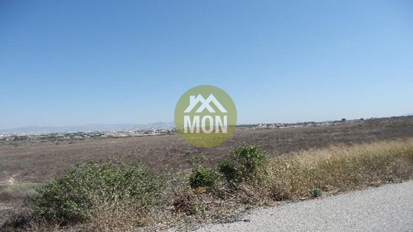 Land for sale in Manises