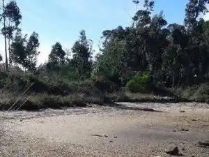 Residential land for sale in Noalla, imagen 23