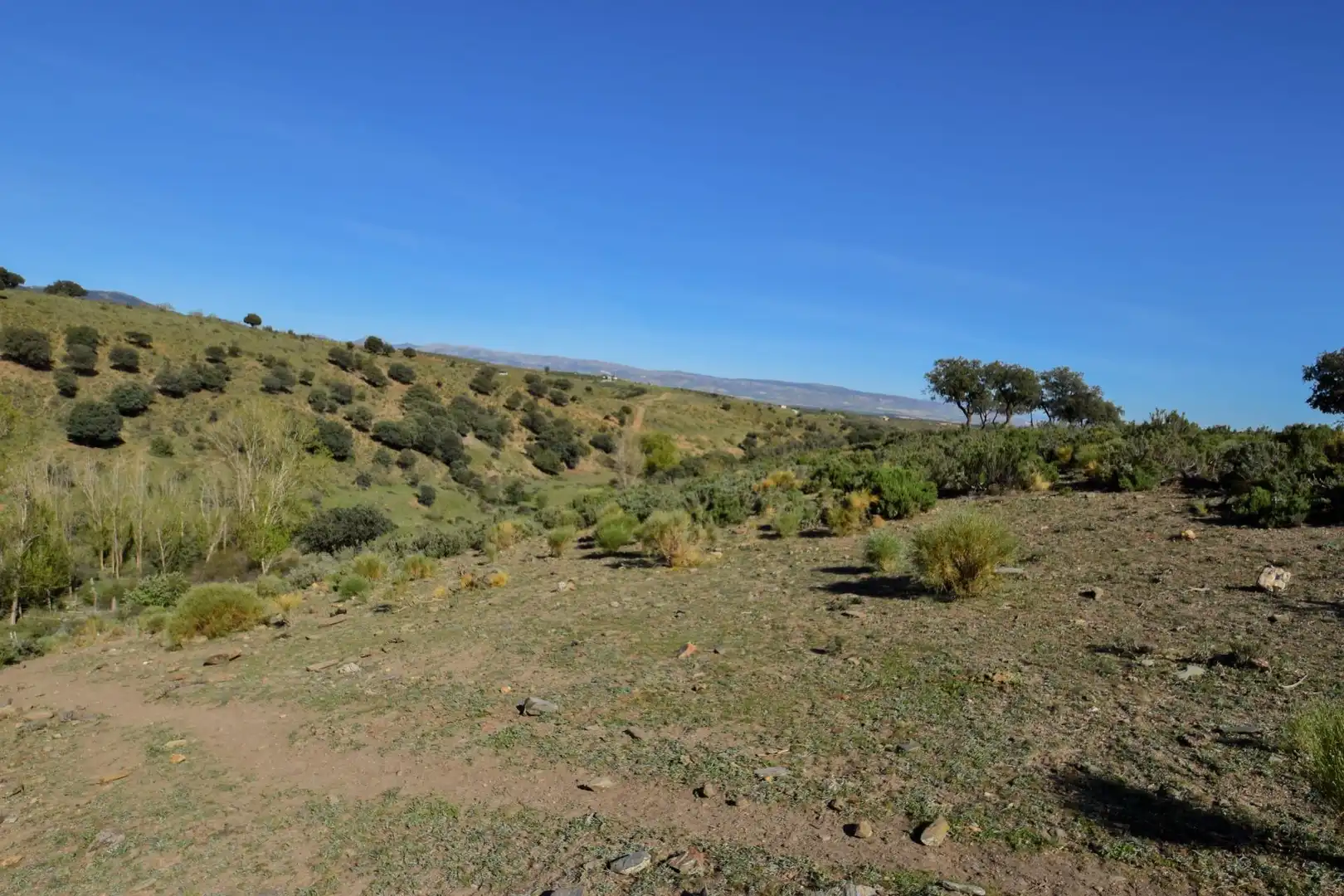 Terreno en venta en Paraje de las Perdices, Lugros