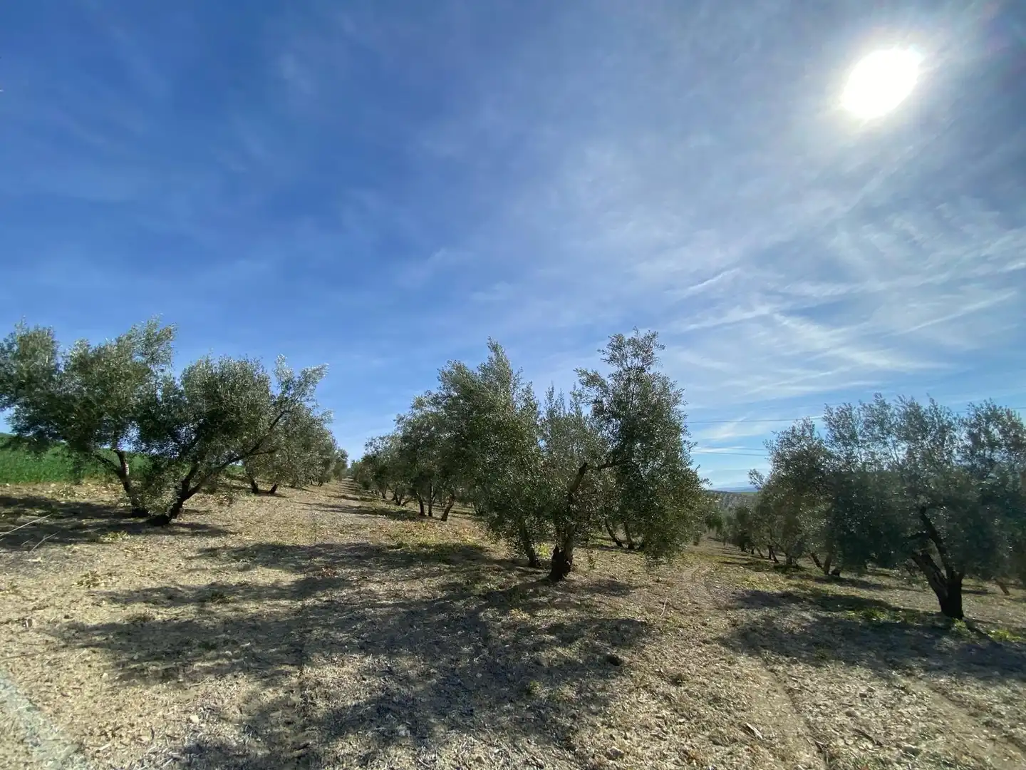 Terreno en venta en Villanueva Mesía