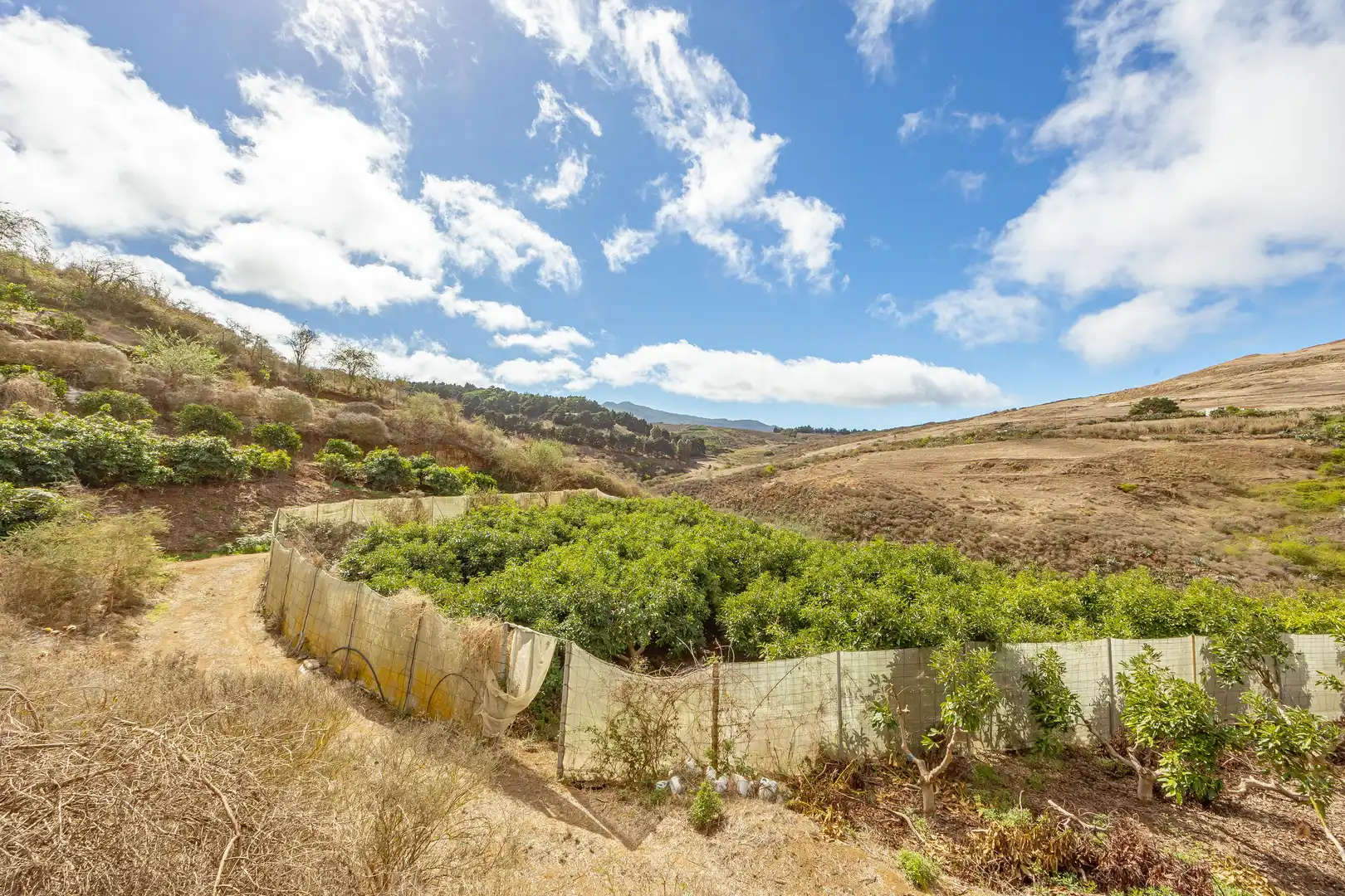 Residencial en venta en Lugar Lomo del Poleo, Saucillo - Fagajesto - Juncalillo
