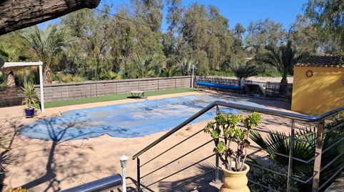 Foto 5 de Finca rústica en venda a Pedanías Este, Aspe