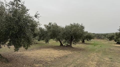 Photo 2 of Land for sale in Carrer de Dalt, Centre, Girona