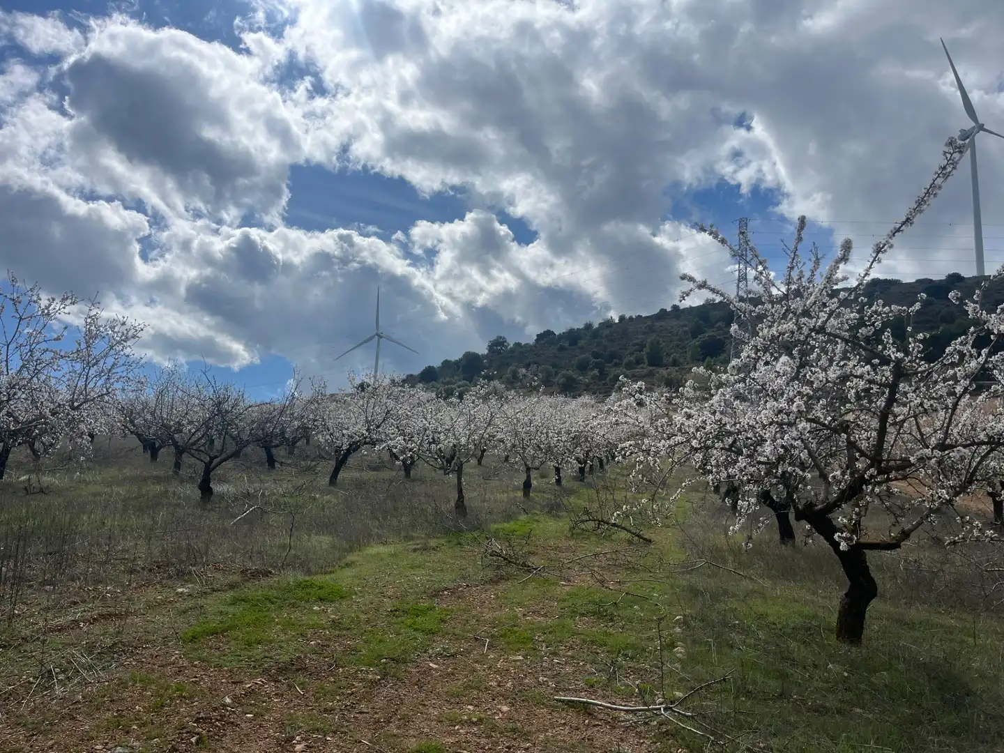 Rustikales Grundstück zum Verkauf in Camino de la Sierra, imagen 6