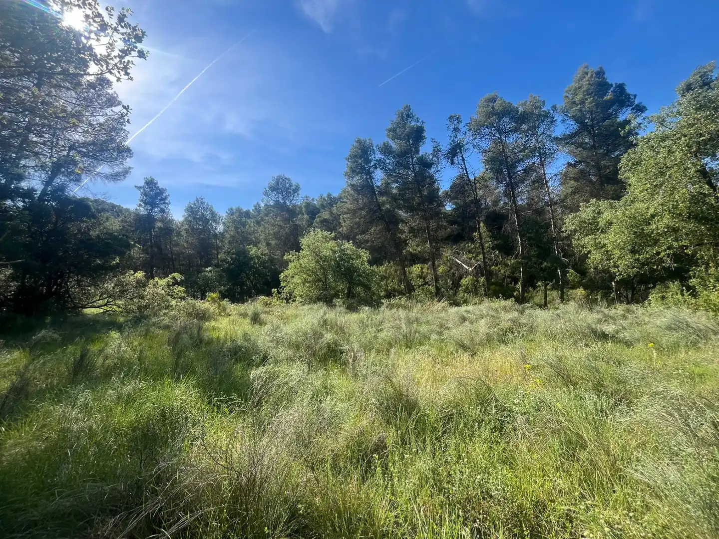 Terreni e lotti in vendita a Arens de Lledó, imagen 5