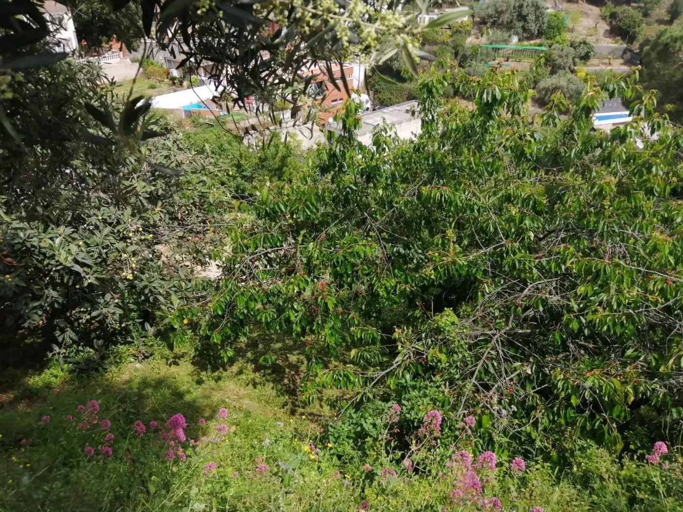 Terreno residencial en venta en Carrer de Alberes 13, imagen 4