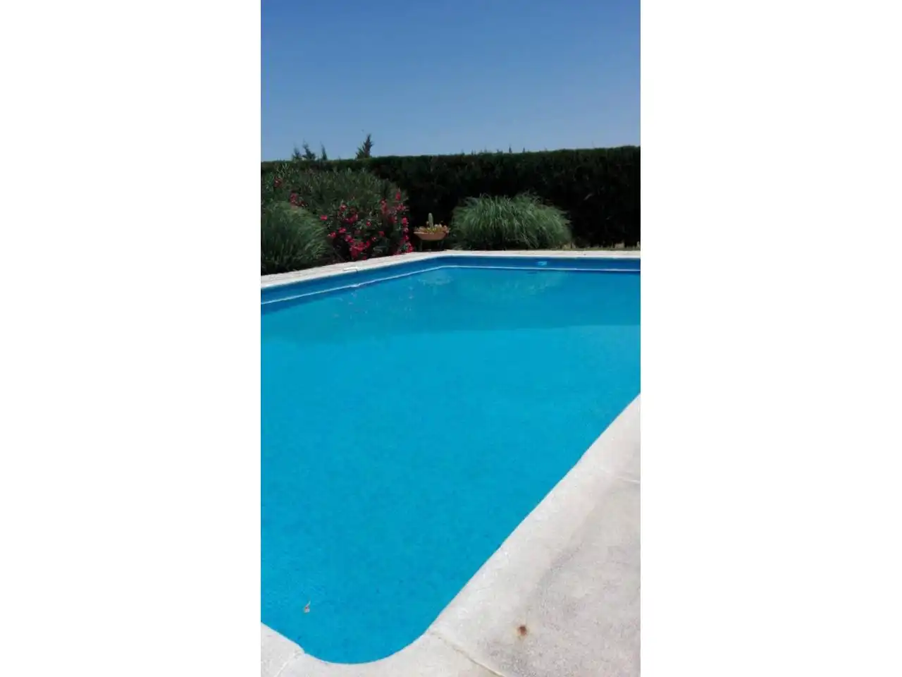 Casa con piscina en venta en Calle Alcalá, imagen 10