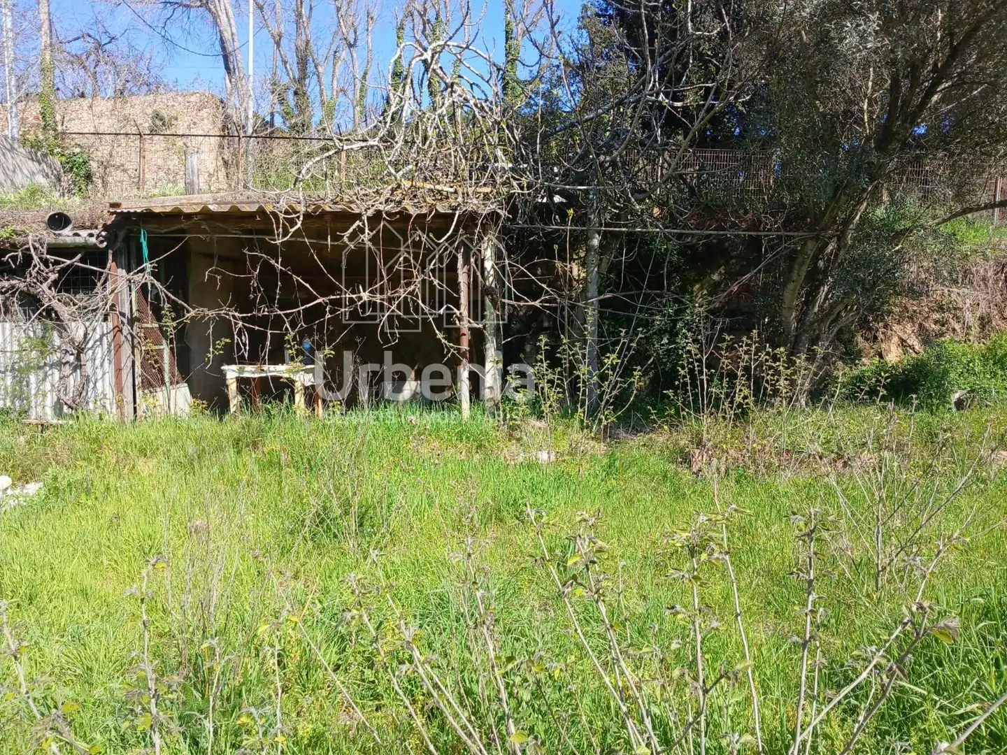Terreno rústico en venta en Palafolls, imagen 3