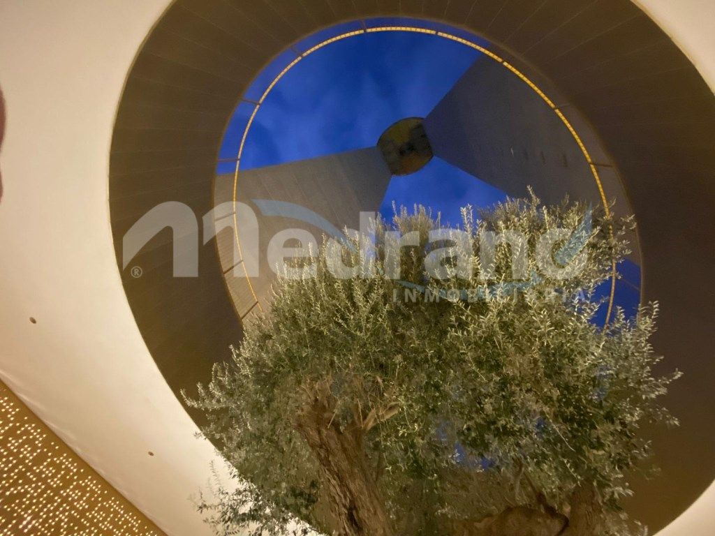 Flat to rent in Benidorm