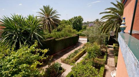 Foto 5 de Casa o xalet de lloguer a La Paz, Sevilla