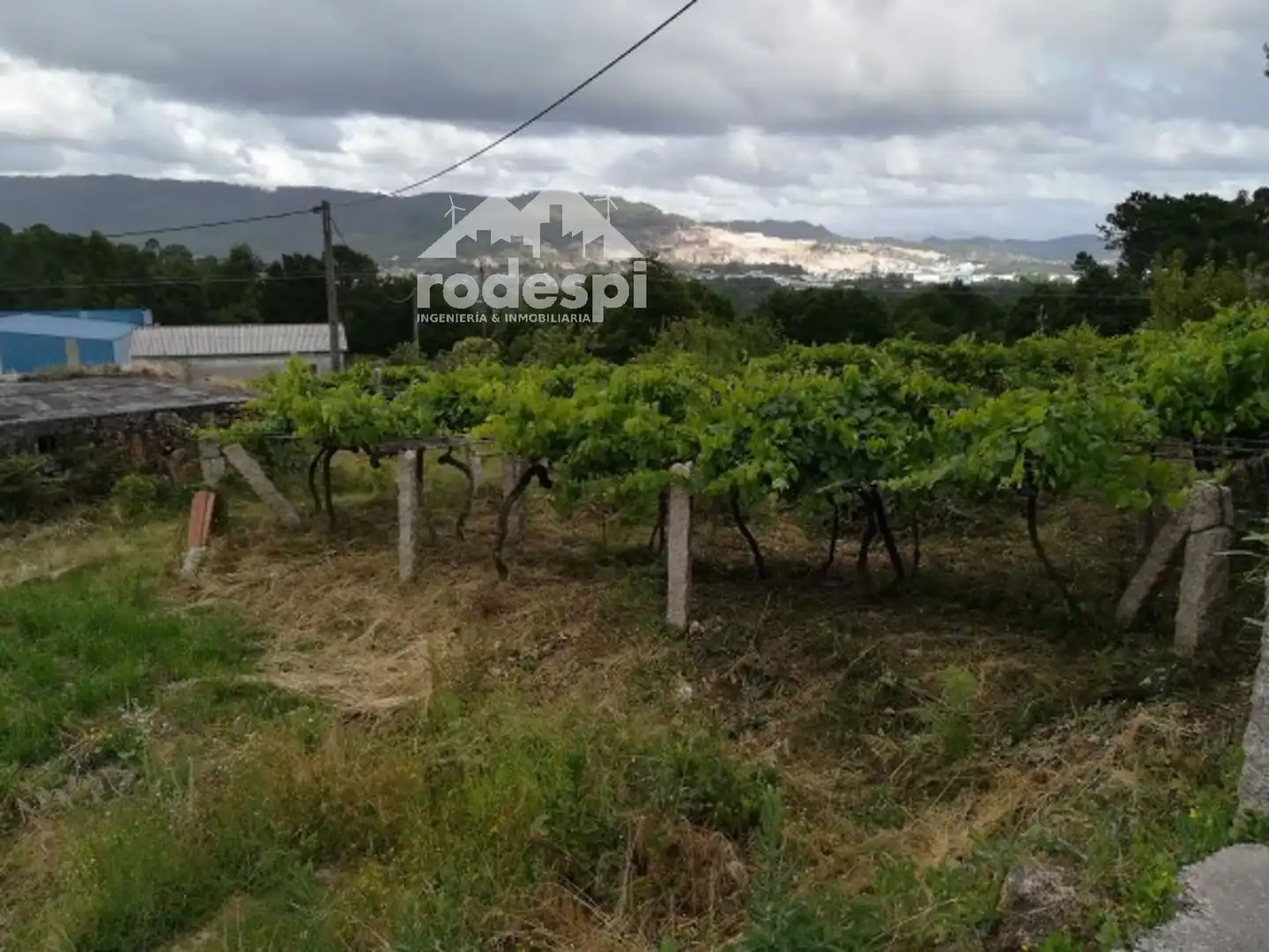 Rural land for sale in O Porriño