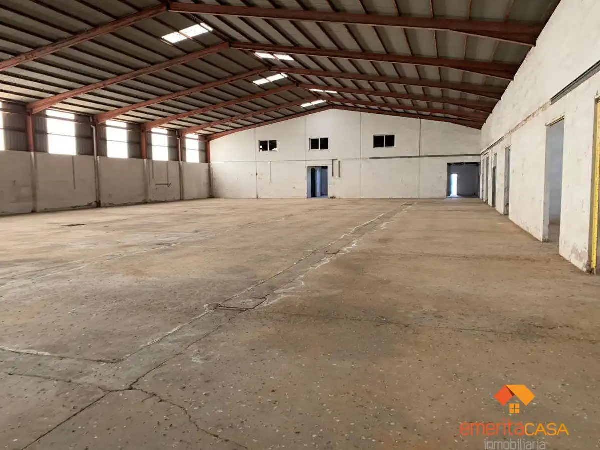 Nave industrial in affitto a Oeste