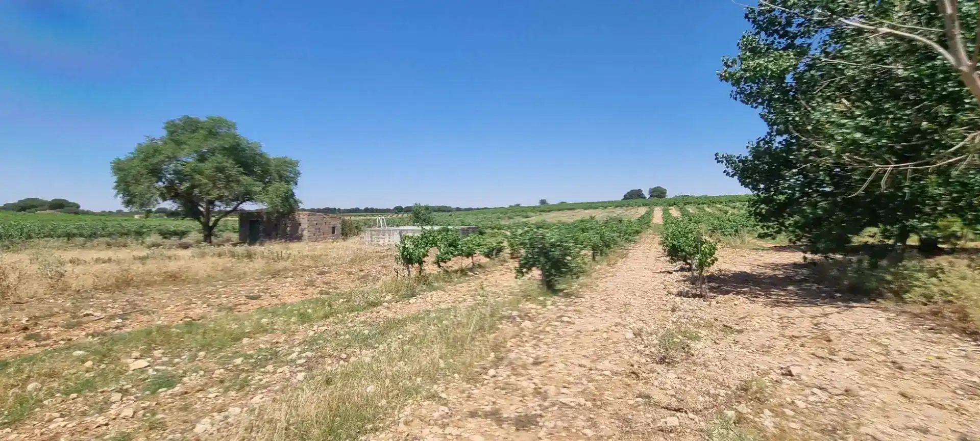 Finca rústica en venda en Villarrobledo amb Piscina