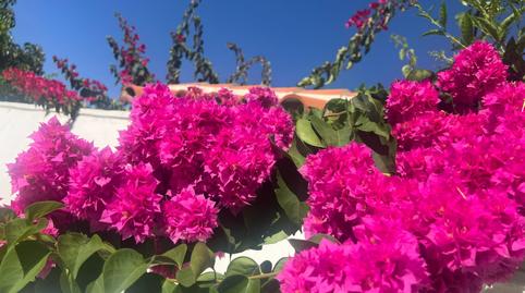 Photo 4 of Single-family semi-detached for sale in San García, Cádiz