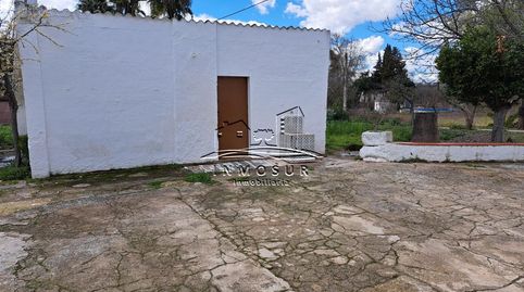 Foto 5 de Casa o chalet en venta en Las Vegas - Campoaras, Lucena